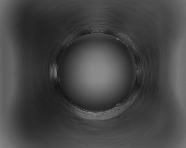 X0000100780046200806191312