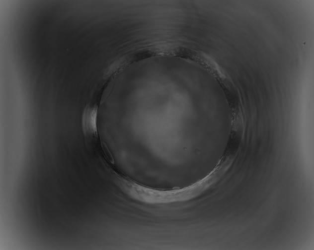 X0000100780047200806191312