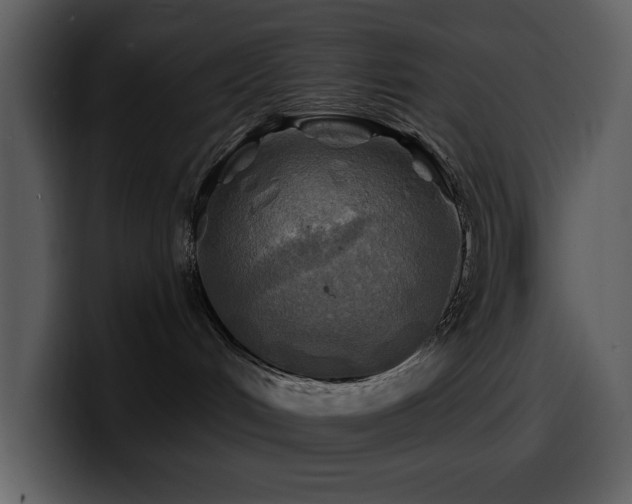 X0000100780048200806191312