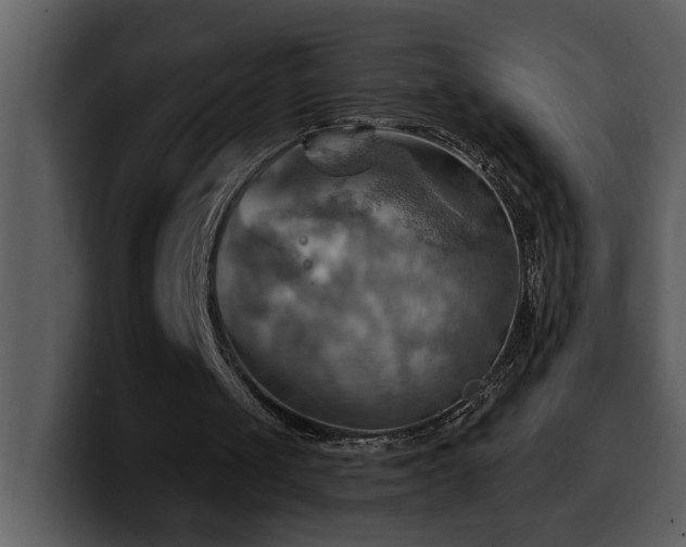 X0000100780049200806191311