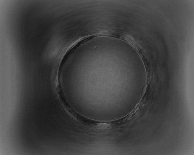 X0000100780050200806191311