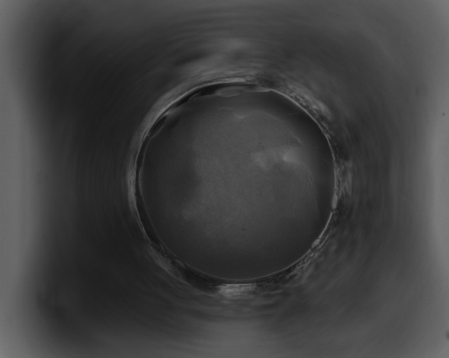 X0000100780051200806191311