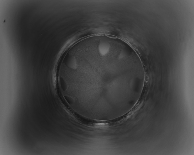 X0000100780053200806191311