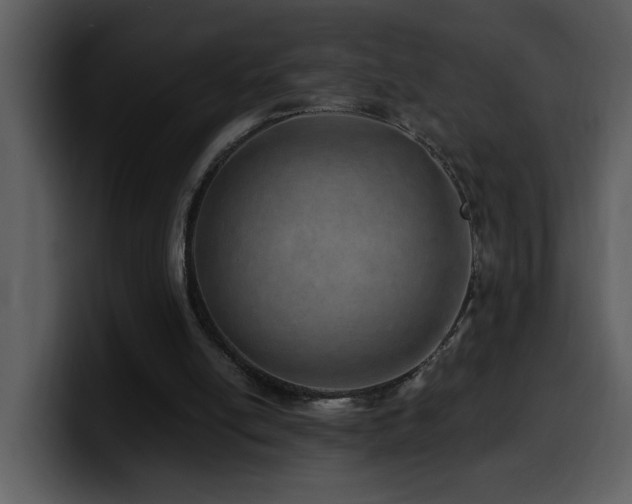 X0000100780054200806191311