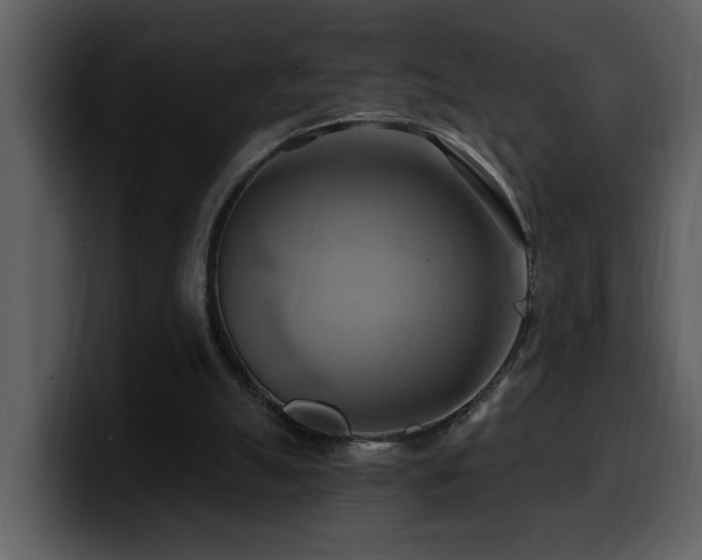 X0000100780055200806191311