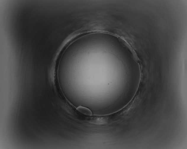 X0000100780056200806191311