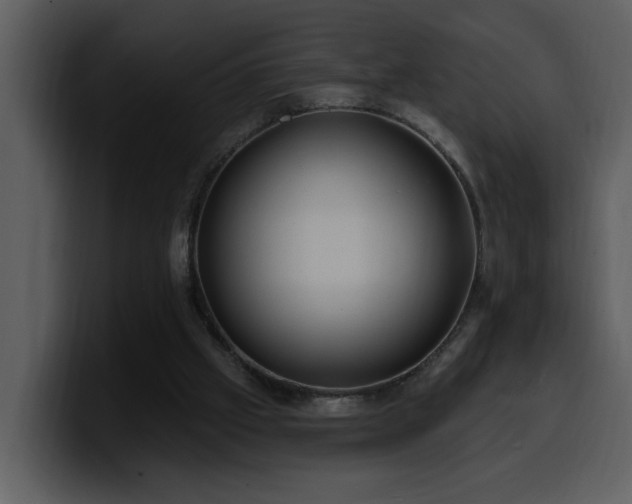 X0000100780057200806191311