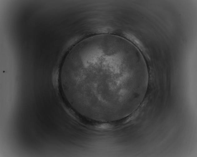 X0000100780058200806191311