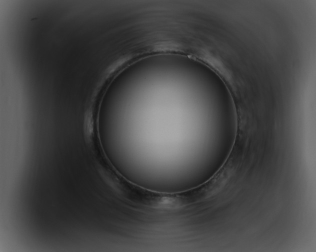 X0000100780060200806191311