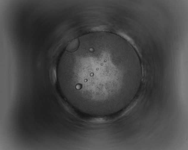 X0000100780061200806191311