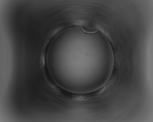 X0000100780062200806191311