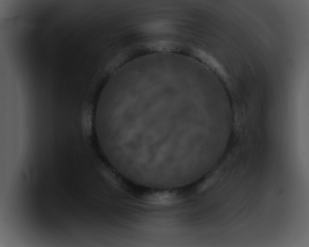 X0000100780065200806191311