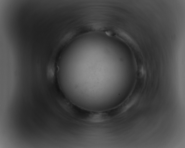 X0000100780072200806191311