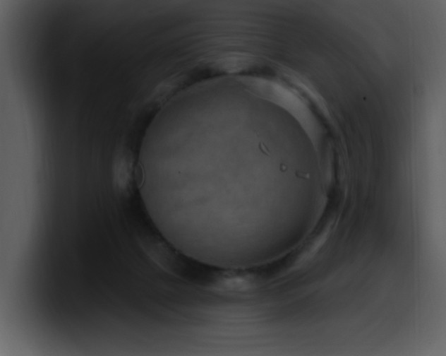 X0000100780073200806191311