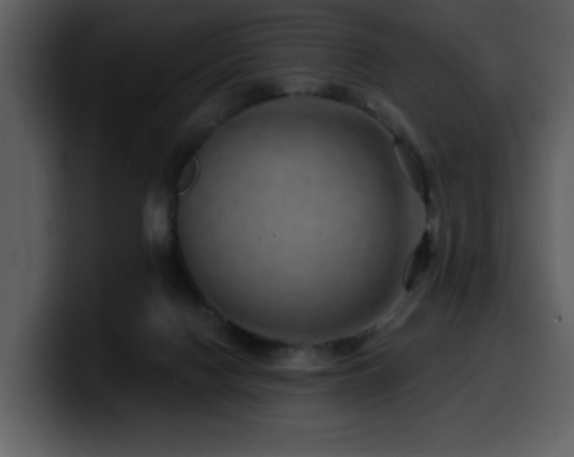 X0000100780074200806191311