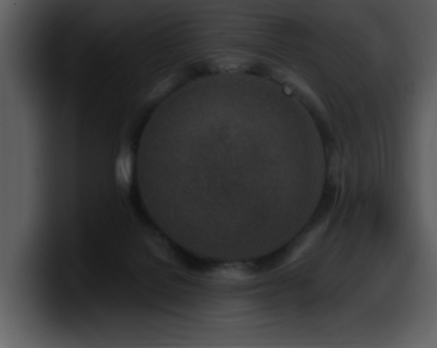 X0000100780076200806191311