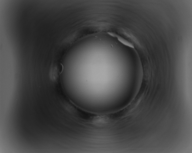 X0000100780077200806191311