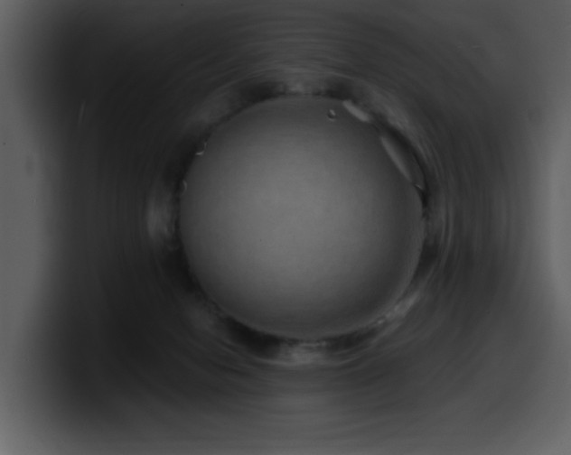 X0000100780078200806191311