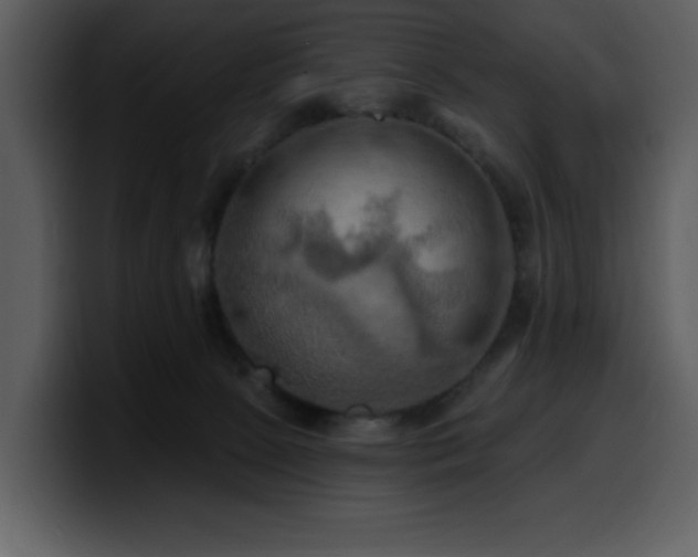 X0000100780081200806191311