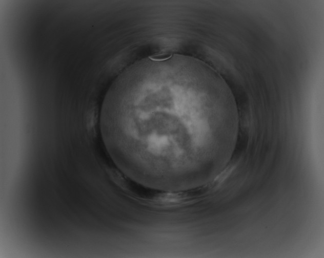 X0000100780082200806191312