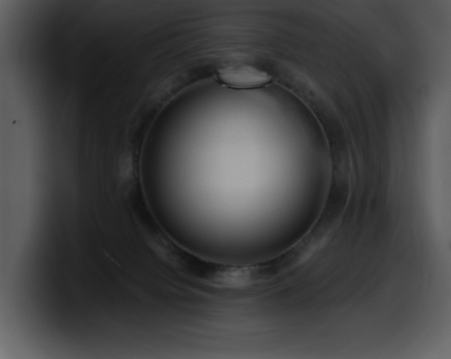 X0000100780084200806191312