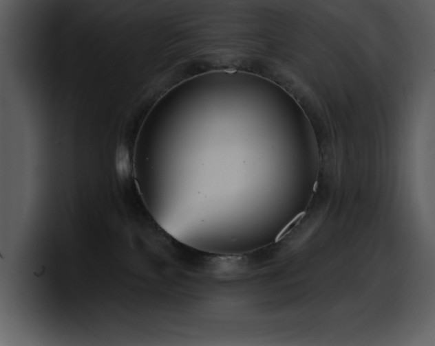 X0000100780089200806191312