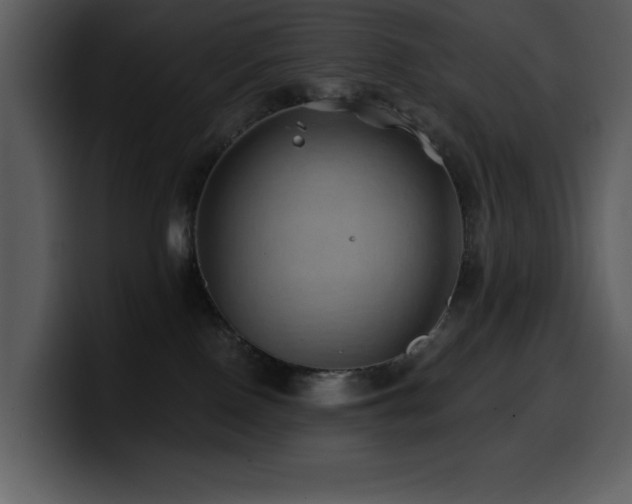 X0000100780090200806191312