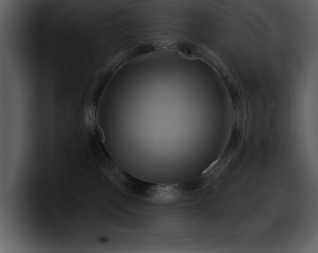 X0000100780093200806191312