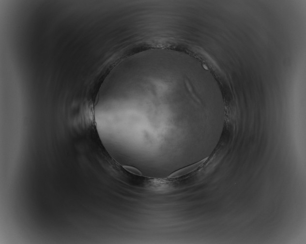 X0000100780095200806191312