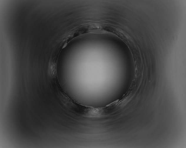 X0000100780096200806191312