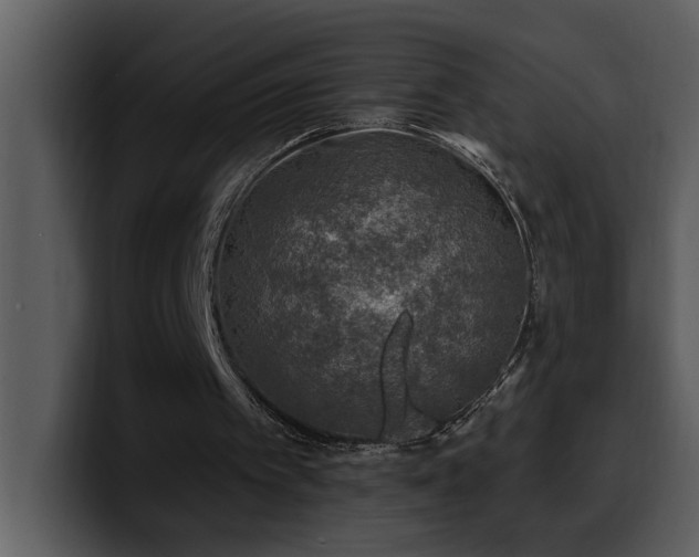 X0000100780097200806191311