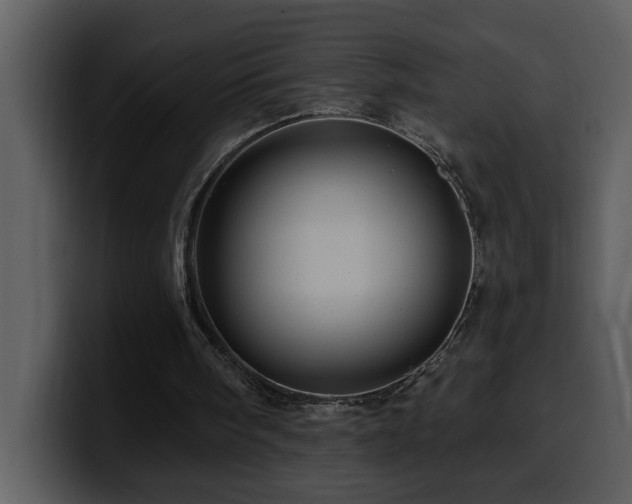 X0000100780098200806191311