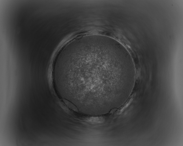 X0000100780101200806191311