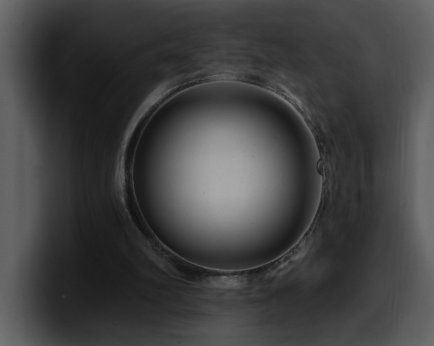 X0000100780102200806191311