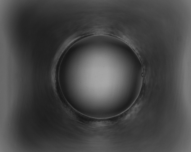 X0000100780103200806191311