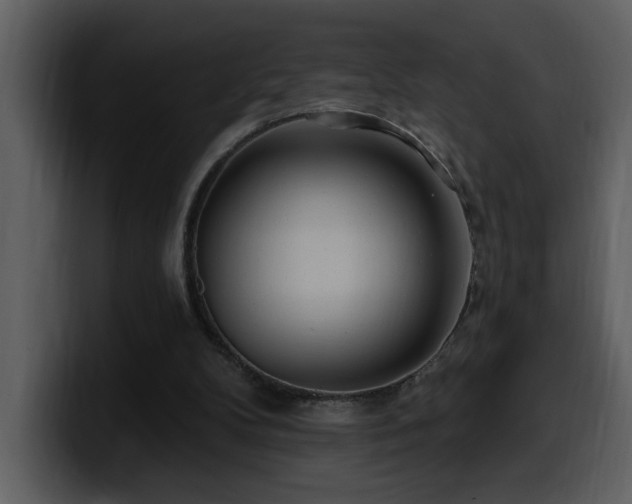 X0000100780104200806191311