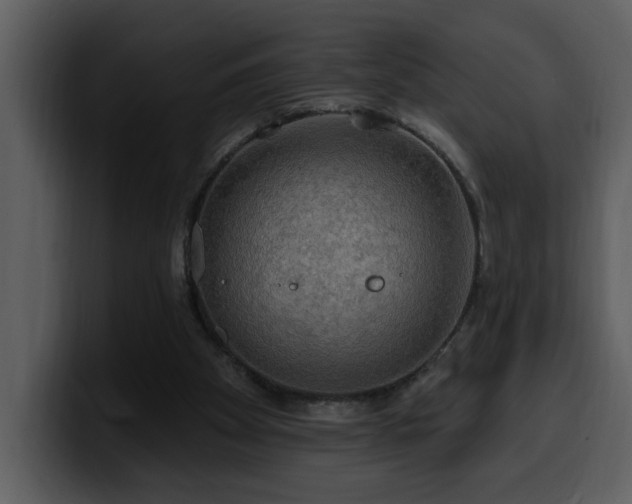 X0000100780105200806191311