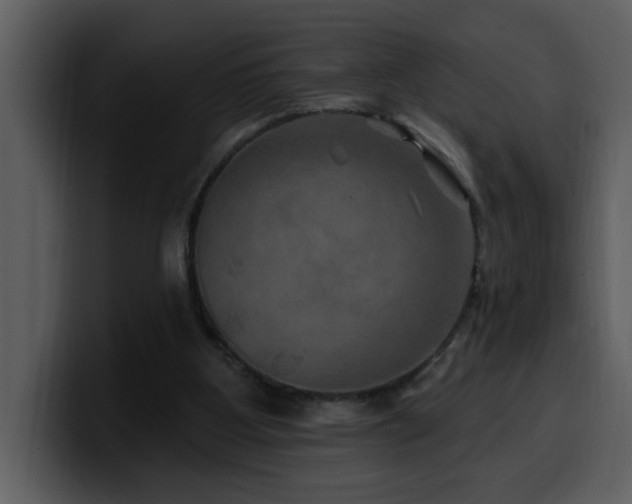 X0000100780107200806191311