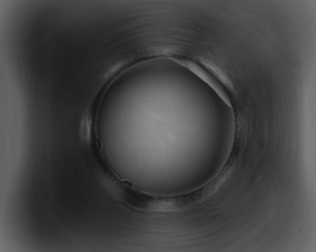 X0000100780110200806191311