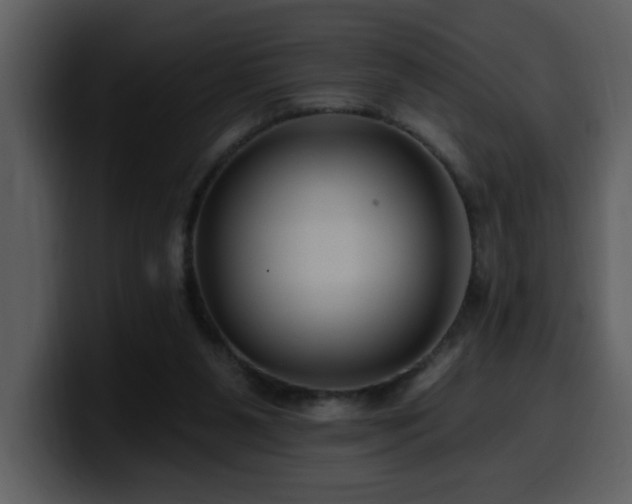 X0000100780111200806191311