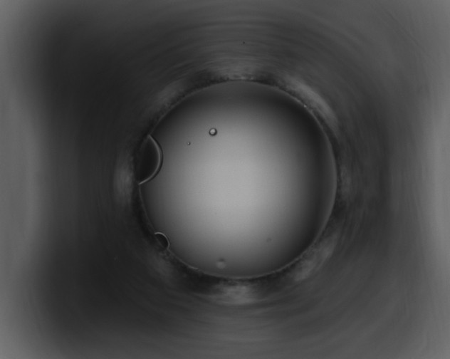 X0000100780113200806191311