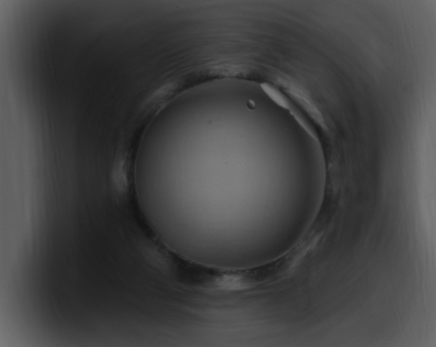 X0000100780114200806191311