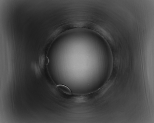 X0000100780118200806191311