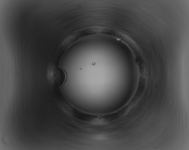 X0000100780119200806191311