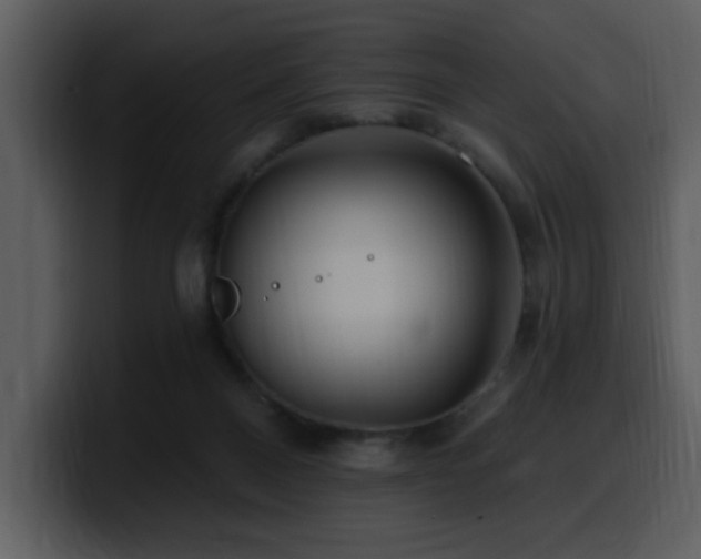 X0000100780120200806191311