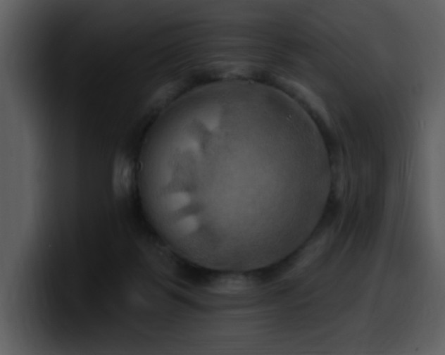 X0000100780123200806191311