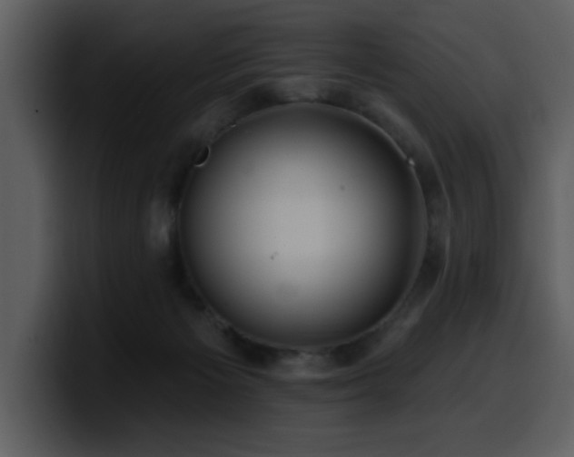 X0000100780125200806191311