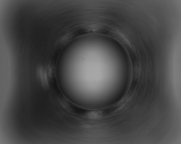 X0000100780126200806191311