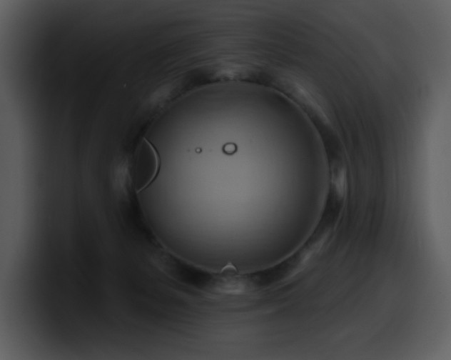 X0000100780127200806191311