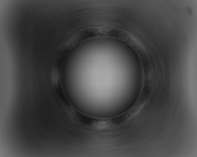 X0000100780129200806191311